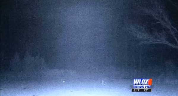 В США случайно сняли встречу НЛО с семейством оленей