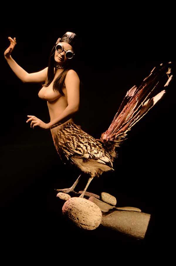 Американские птицы - сделано Playboy