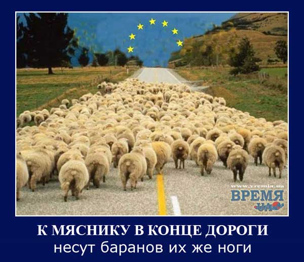 Что будет с экономикой Украины, когда она выйдет из СНГ