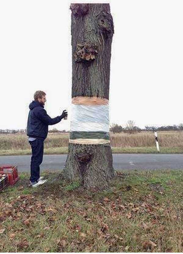 Уроки фотомастерства или как сфотографировать дерево таким