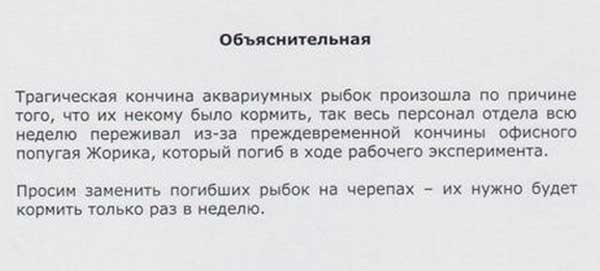 Как правильно писать объяснительную на работе образец в беларуси