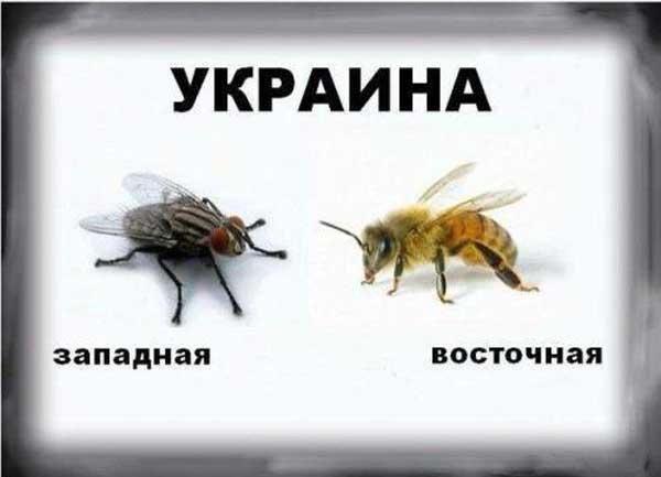 Демки и картинки про Украину и всё, что с ней связано №11