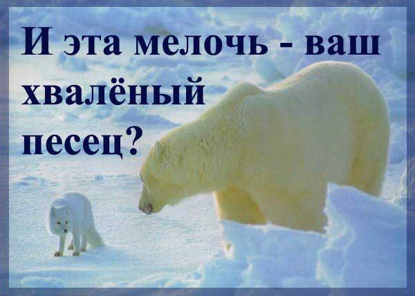 Демки и картинки про Украину и всё, что с ней связано №11