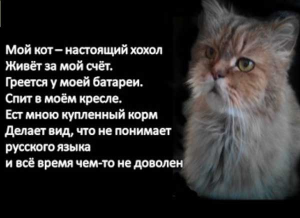 Демки и картинки про Украину и всё, что с ней связано №19