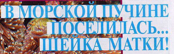 Заголовки бульварной прессы - желтее не бывает!