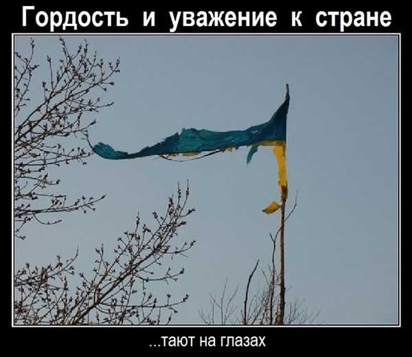 Демки и картинки про Украину и всё, что с ней связано №27