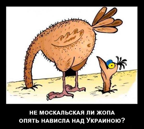 Демки и картинки про Украину и всё, что с ней связано №39