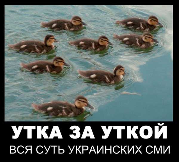 Демки и картинки про Украину и всё, что с ней связано №48