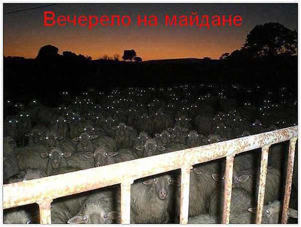 Демки и картинки про Украину и всё, что с ней связано №49