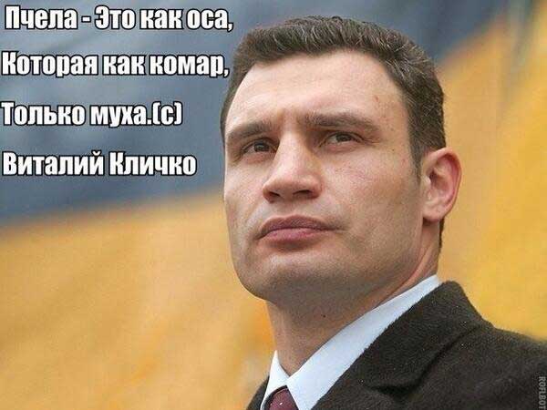 Демки и картинки про Украину и всё, что с ней связано №51