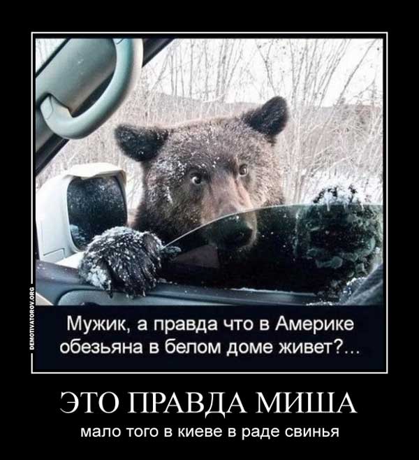 Демки и картинки про Украину и всё, что с ней связано №51