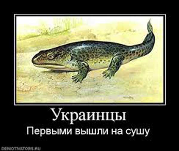 Демки и картинки про Украину и всё, что с ней связано №52