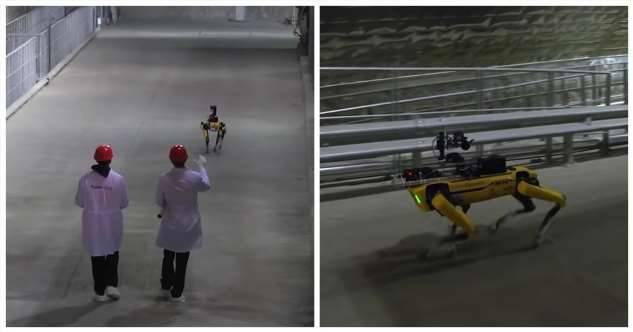 В Чернобыль запустили роботов-собак, которые будут «вынюхивать» радиацию (4 фото + 1 видео)