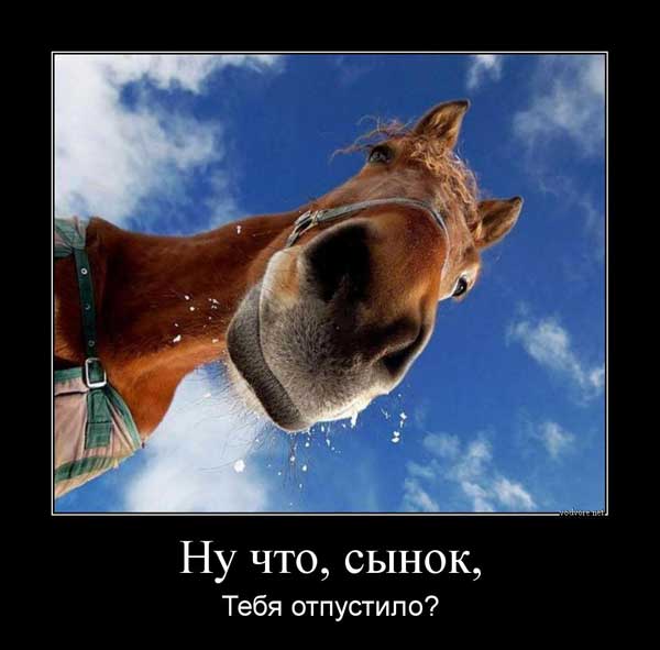 Когда вы уклоняетесь от налогов
