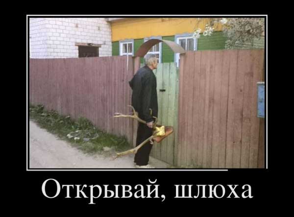 Встретил в лесу медведя